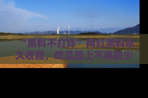 “黑料不打烊”网红黑料永久收藏,吃瓜路上不再缺少惊喜与乐趣