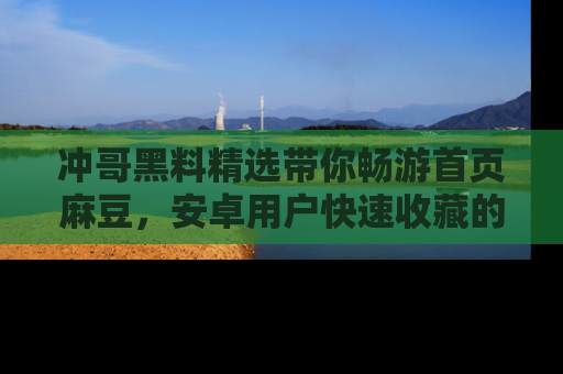 冲哥黑料精选带你畅游首页麻豆，安卓用户快速收藏的秘密武器！