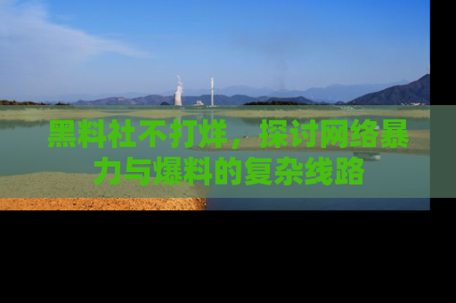黑料社不打烊，探讨网络暴力与爆料的复杂线路