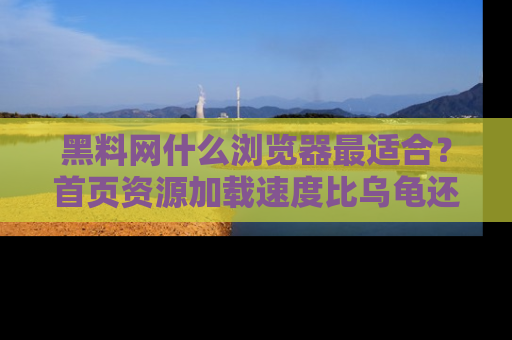 黑料网什么浏览器最适合？首页资源加载速度比乌龟还慢的体验真心吐槽！