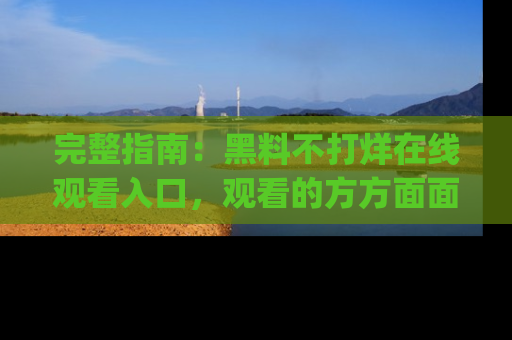 完整指南：黑料不打烊在线观看入口，观看的方方面面与app选择