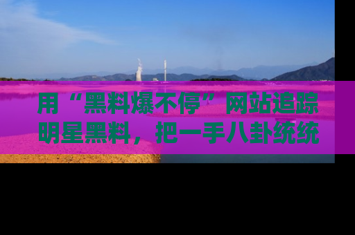 用“黑料爆不停”网站追踪明星黑料，把一手八卦统统收进你的后宫中！
