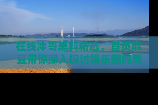 在线冲哥黑料精选，首页麻豆带你深入探讨娱乐圈的黑暗面