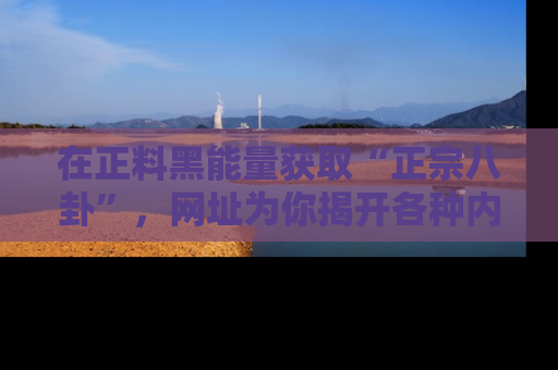 在正料黑能量获取“正宗八卦”,网址为你揭开各种内幕故事!